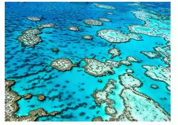 Great Barrier Reef Marine Park in tourism assignment